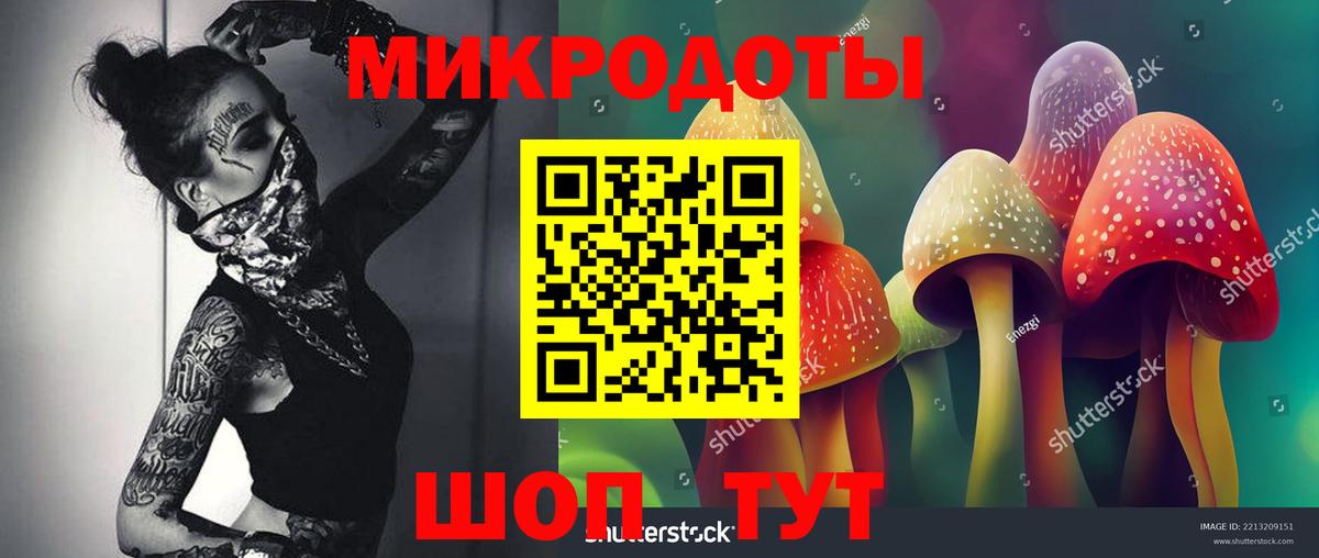 Псилоцибиновые грибы GOLDEN TEACHER  Вход с VPN  Рыбинск  Галлюциногенные грибы Magic Shrooms 
