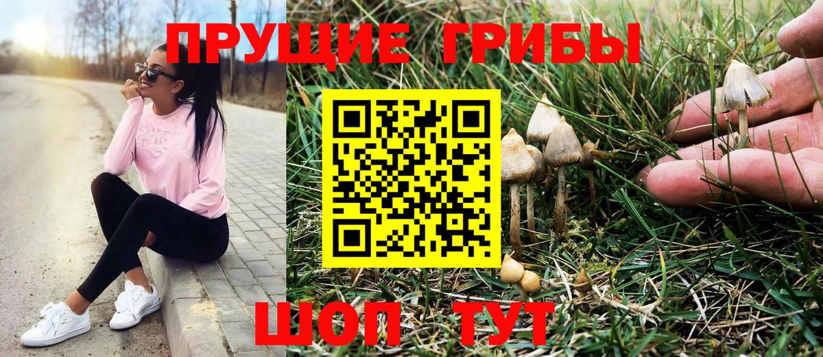 Псилоцибиновые грибы Magic Shrooms Рыбинск